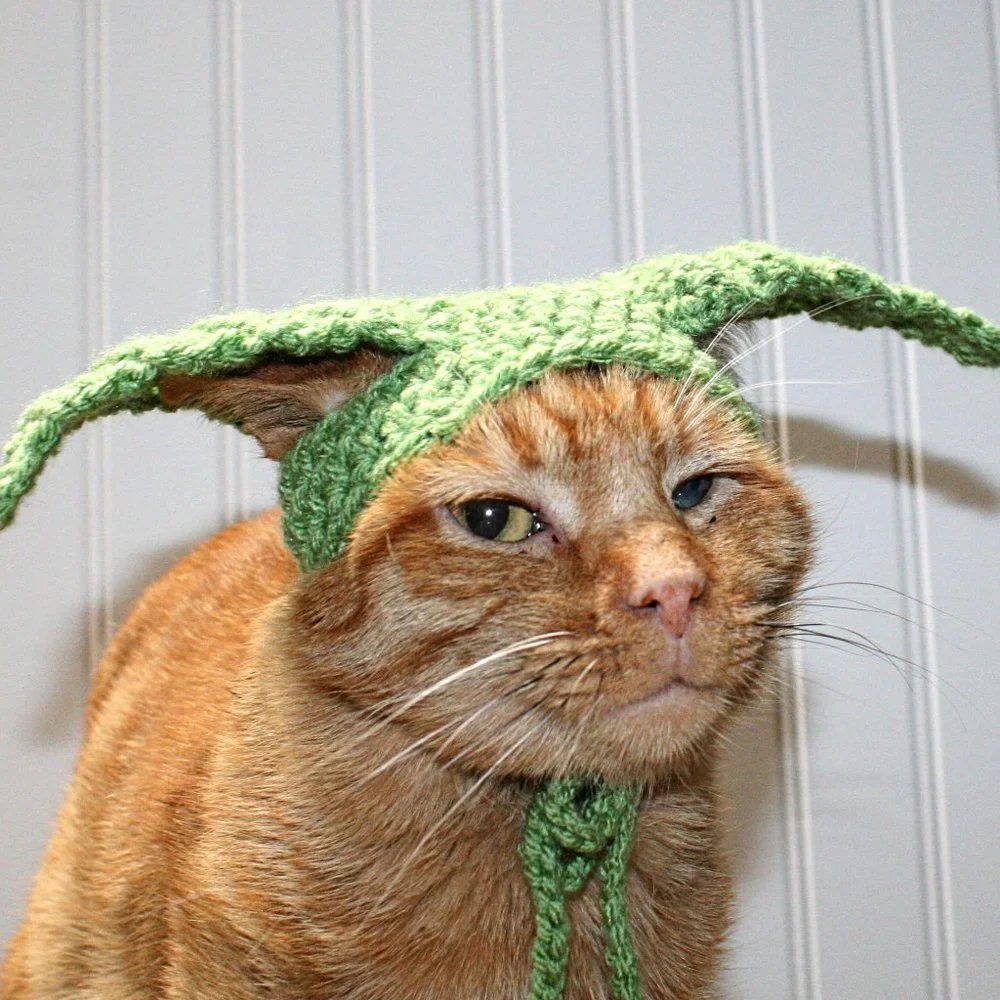 HAND CRAFTED Baby Yoda Mandalorian Crochet Cat Hat Wig Ears Costume Photo Prop